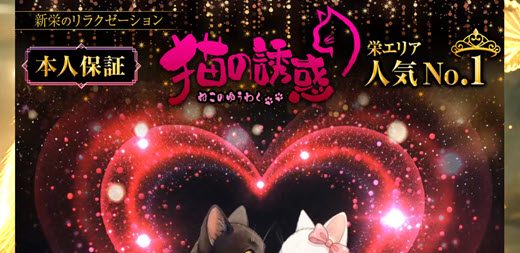 猫の誘惑