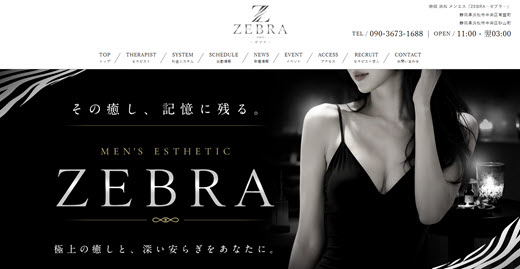 ZEBRA ゼブラ