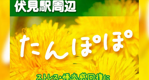 たんぽぽ