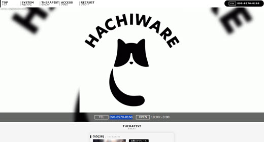 HACHIWARE ハチワレ